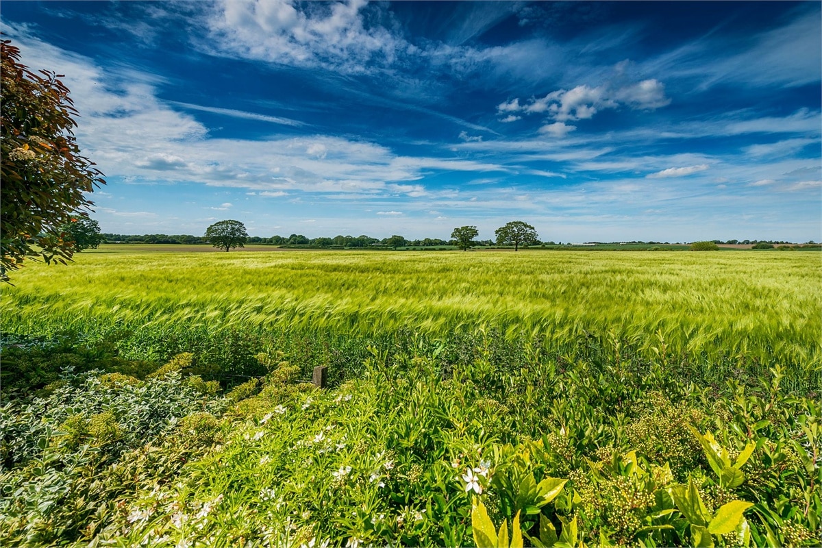 Shropshire Farm makes The Times List of Britian’s Finest Farmshops