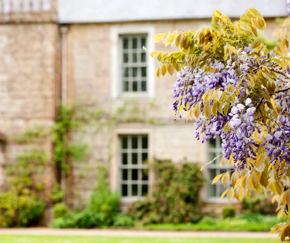 Step Into Summer: Gardens & Terraces to Inspire the Season