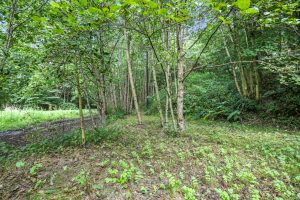 Treburvaugh House Farm, Knighton - Picture No. 23